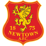 Logo Newtown